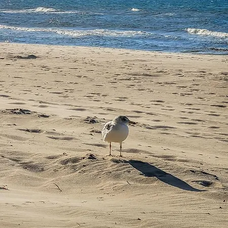 Baltic Haus Nathalie