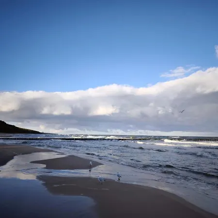 別荘 Baltic Haus Nathalie トシェンサチ