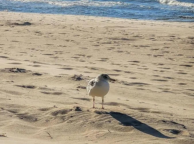 Baltic Haus Nathalie